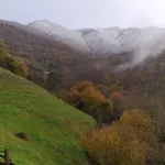 Rurales San Feliz